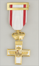 Medalla Merito AERONAUTICO Distintivo Blanco